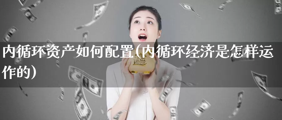 内循环资产如何配置(内循环经济是怎样运作的)_https://www.hbxsqx.com_白银期货直播室_第1张