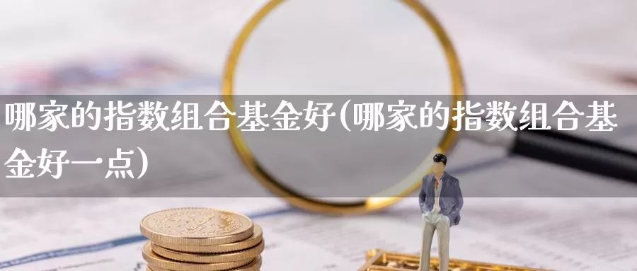 哪家的指数组合基金好(哪家的指数组合基金好一点)_https://www.hbxsqx.com_白银期货手续费_第1张