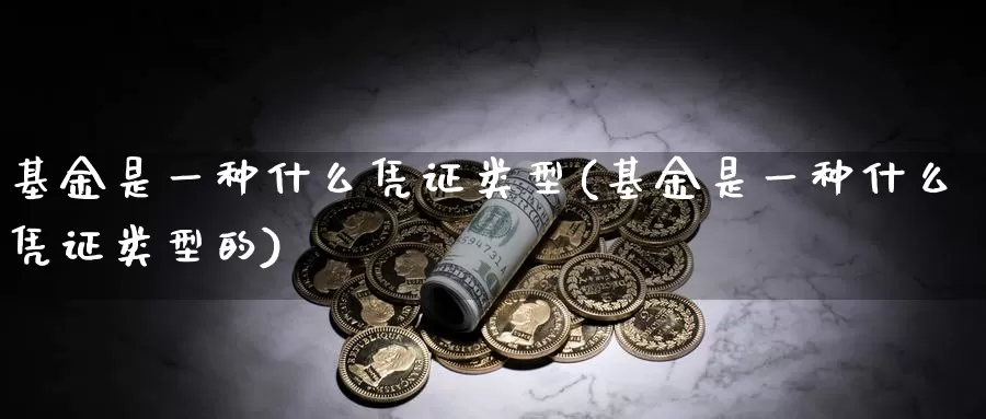 基金是一种什么凭证类型(基金是一种什么凭证类型的)_https://www.hbxsqx.com_白银期货手续费_第1张