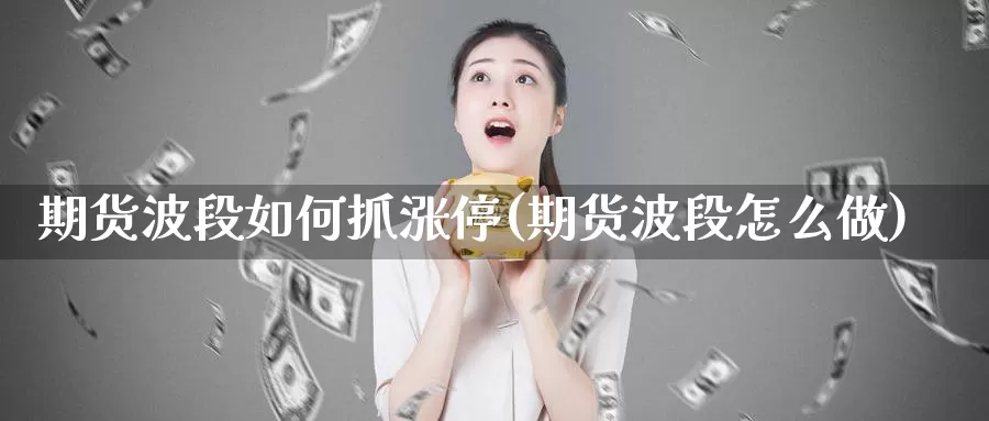 期货波段如何抓涨停(期货波段怎么做)_https://www.hbxsqx.com_白银期货直播室_第1张