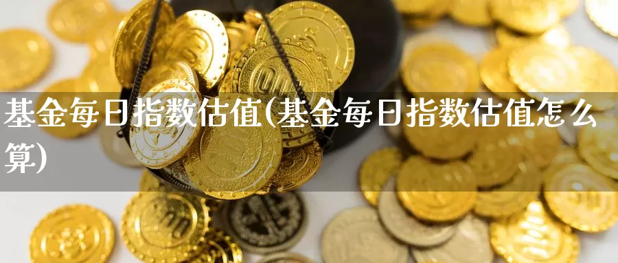 基金每日指数估值(基金每日指数估值怎么算)_https://www.hbxsqx.com_白银期货手续费_第1张